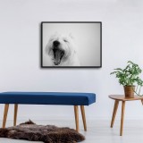 HD Canvas Print Home Decor Paintings Wall Art Pictures-SR120177