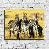 HD Canvas Print Home Decor Paintings Wall Art Pictures-SR-10322
