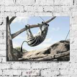 HD Canvas Print Home Decor Paintings Wall Art Pictures-SR--0351