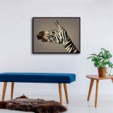HD Canvas Print Home Decor Paintings Wall Art Pictures-SR--0352