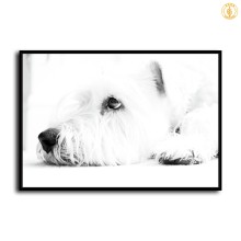 HD Canvas Print Home Decor Paintings Wall Art Pictures-SR120169