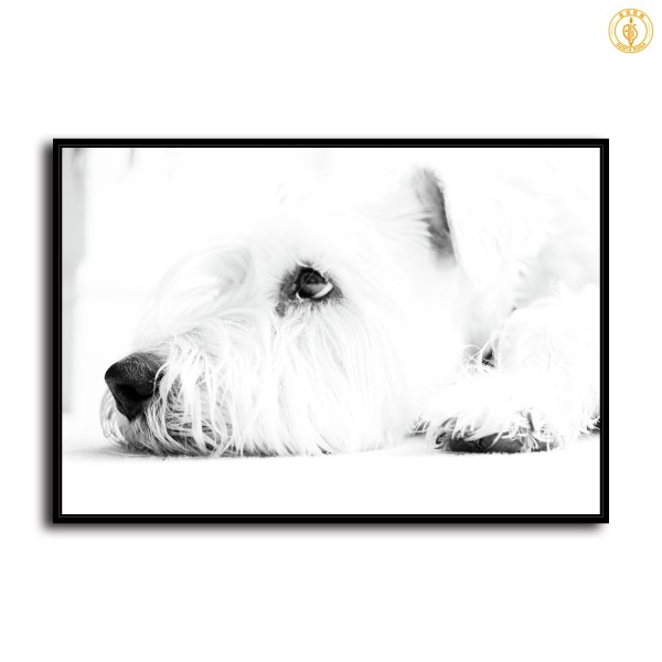 HD Canvas Print Home Decor Paintings Wall Art Pictures-SR120169