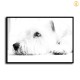 HD Canvas Print Home Decor Paintings Wall Art Pictures-SR120169