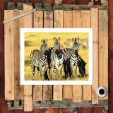 HD Canvas Print Home Decor Paintings Wall Art Pictures-SR-10322