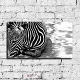 HD Canvas Print Home Decor Paintings Wall Art Pictures-SR--1221