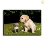 HD Canvas Print Home Decor Paintings Wall Art Pictures-SR101023