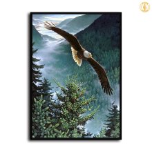 HD Canvas Print Home Decor Paintings Wall Art Pictures-SR-A0402