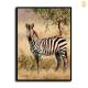 HD Canvas Print Home Decor Paintings Wall Art Pictures-SR-C_X05