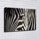 HD Canvas Print Home Decor Paintings Wall Art Pictures-SR--0359