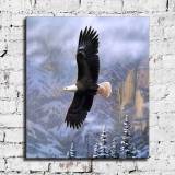 HD Canvas Print Home Decor Paintings Wall Art Pictures-SR-A0579