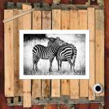 HD Canvas Print Home Decor Paintings Wall Art Pictures-SR111560