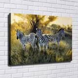 HD Canvas Print Home Decor Paintings Wall Art Pictures-SR-A0559