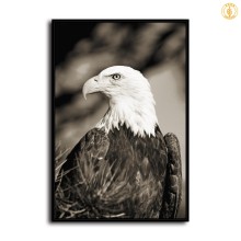 HD Canvas Print Home Decor Paintings Wall Art Pictures-SR119799