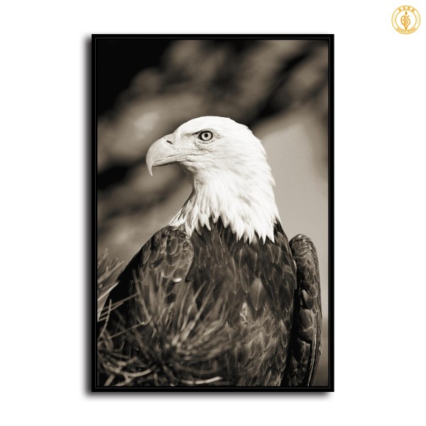 HD Canvas Print Home Decor Paintings Wall Art Pictures-SR119799