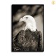 HD Canvas Print Home Decor Paintings Wall Art Pictures-SR119799