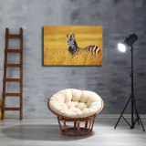 HD Canvas Print Home Decor Paintings Wall Art Pictures-SR-C_X06