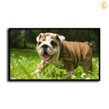 HD Canvas Print Home Decor Paintings Wall Art Pictures-SR100422