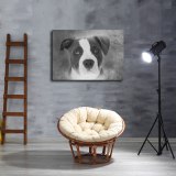HD Canvas Print Home Decor Paintings Wall Art Pictures-SR111761