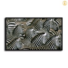 HD Canvas Print Home Decor Paintings Wall Art Pictures-SR-10457