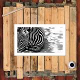 HD Canvas Print Home Decor Paintings Wall Art Pictures-SR--1221