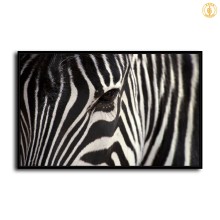 HD Canvas Print Home Decor Paintings Wall Art Pictures-SR--0359