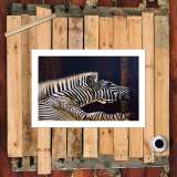 HD Canvas Print Home Decor Paintings Wall Art Pictures-SR200053