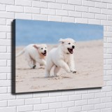 HD Canvas Print Home Decor Paintings Wall Art Pictures-SR100986