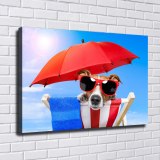 HD Canvas Print Home Decor Paintings Wall Art Pictures-SR100987