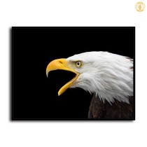 HD Canvas Print Home Decor Paintings Wall Art Pictures-SR100995