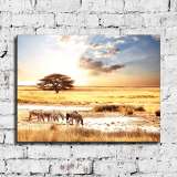 HD Canvas Print Home Decor Paintings Wall Art Pictures-SR--0285