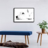 HD Canvas Print Home Decor Paintings Wall Art Pictures-SR120169