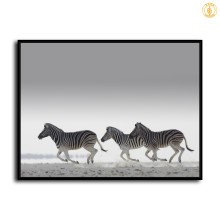 HD Canvas Print Home Decor Paintings Wall Art Pictures-SR-10270