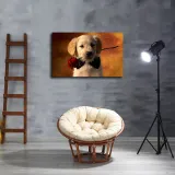 HD Canvas Print Home Decor Paintings Wall Art Pictures-SR-20084