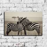 HD Canvas Print Home Decor Paintings Wall Art Pictures-SR-A3910