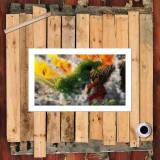 HD Canvas Print Home Decor Paintings Wall Art Pictures-SR104328