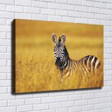 HD Canvas Print Home Decor Paintings Wall Art Pictures-SR-C_X06