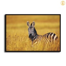 HD Canvas Print Home Decor Paintings Wall Art Pictures-SR-C_X06