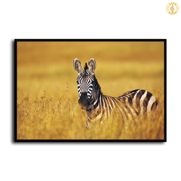 HD Canvas Print Home Decor Paintings Wall Art Pictures-SR-C_X06