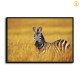 HD Canvas Print Home Decor Paintings Wall Art Pictures-SR-C_X06