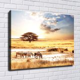 HD Canvas Print Home Decor Paintings Wall Art Pictures-SR--0285