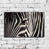 HD Canvas Print Home Decor Paintings Wall Art Pictures-SR--0359