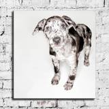 HD Canvas Print Home Decor Paintings Wall Art Pictures-SR120095
