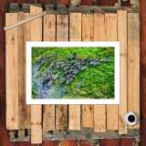 HD Canvas Print Home Decor Paintings Wall Art Pictures-SR-10506