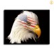 HD Canvas Print Home Decor Paintings Wall Art Pictures-SR101272
