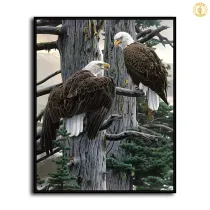 HD Canvas Print Home Decor Paintings Wall Art Pictures-SR-A0468