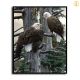 HD Canvas Print Home Decor Paintings Wall Art Pictures-SR-A0468