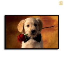 HD Canvas Print Home Decor Paintings Wall Art Pictures-SR-20084