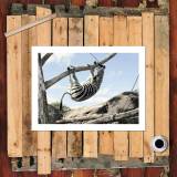 HD Canvas Print Home Decor Paintings Wall Art Pictures-SR--0351