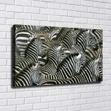 HD Canvas Print Home Decor Paintings Wall Art Pictures-SR-10457