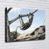 HD Canvas Print Home Decor Paintings Wall Art Pictures-SR--0351